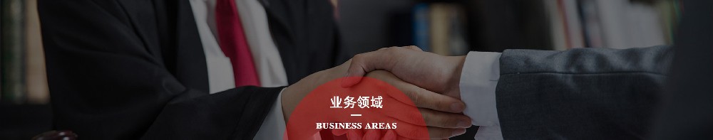 业务领域